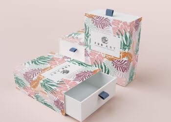 กล่องบรรจุภัณฑ์สินค้า