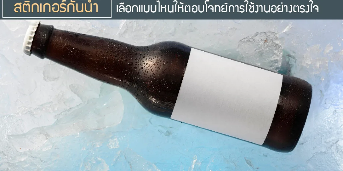 สติ๊กเกอร์กันน้ำ-เลือกแบบไหนที่ให้ตอบโจทย์การใช้งานอย่างตรงใจ
